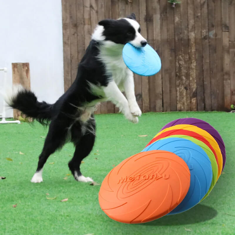 Disco PetPlay Com Tripla Funçao Para Cães