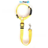 Cinto ProtegePet