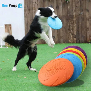 Disco Happy Pet