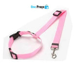 Cinto ProtegePet