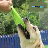 Disco Happy Pet