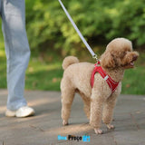 Pet Conforto e Estilo