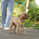 Pet Conforto e Estilo
