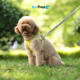 Pet Conforto e Estilo