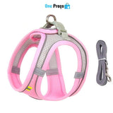Pet Conforto e Estilo