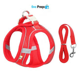 Pet Conforto e Estilo