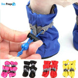 Botinhas Lama Zero Para Pets!