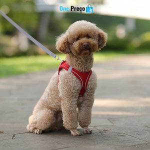 Pet Conforto e Estilo