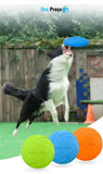 Disco Happy Pet