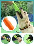 Disco Happy Pet