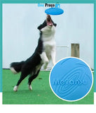 Disco Happy Pet