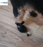 Botinhas Lama Zero Para Pets!