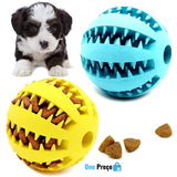 Bolinha Serelepe Para Pets