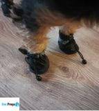 Botinhas Lama Zero Para Pets!