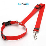 Cinto ProtegePet