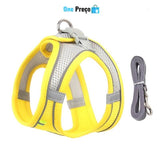 Pet Conforto e Estilo