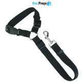 Cinto ProtegePet