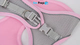Pet Conforto e Estilo