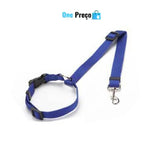 Cinto ProtegePet