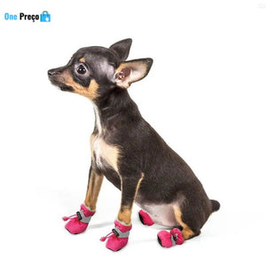 Botinhas Lama Zero Para Pets!